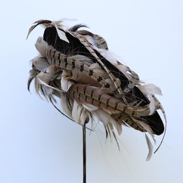 Chocolate Mushroom Pheasant