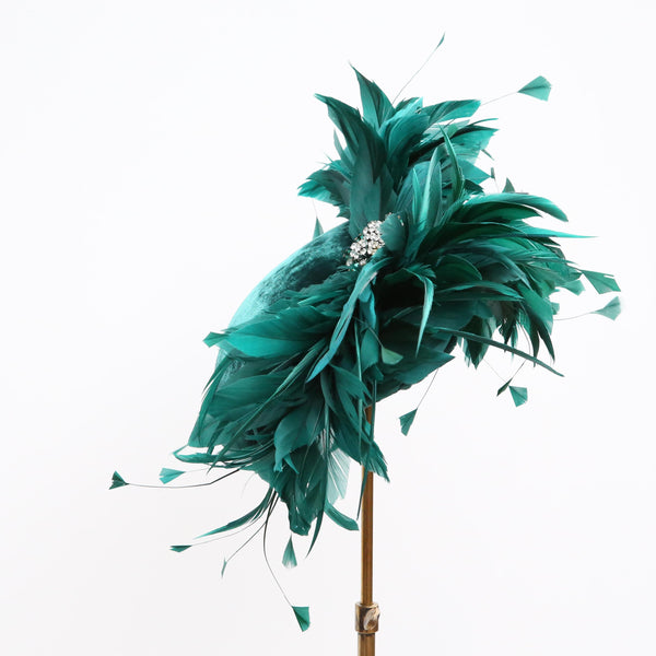 Teal Bird