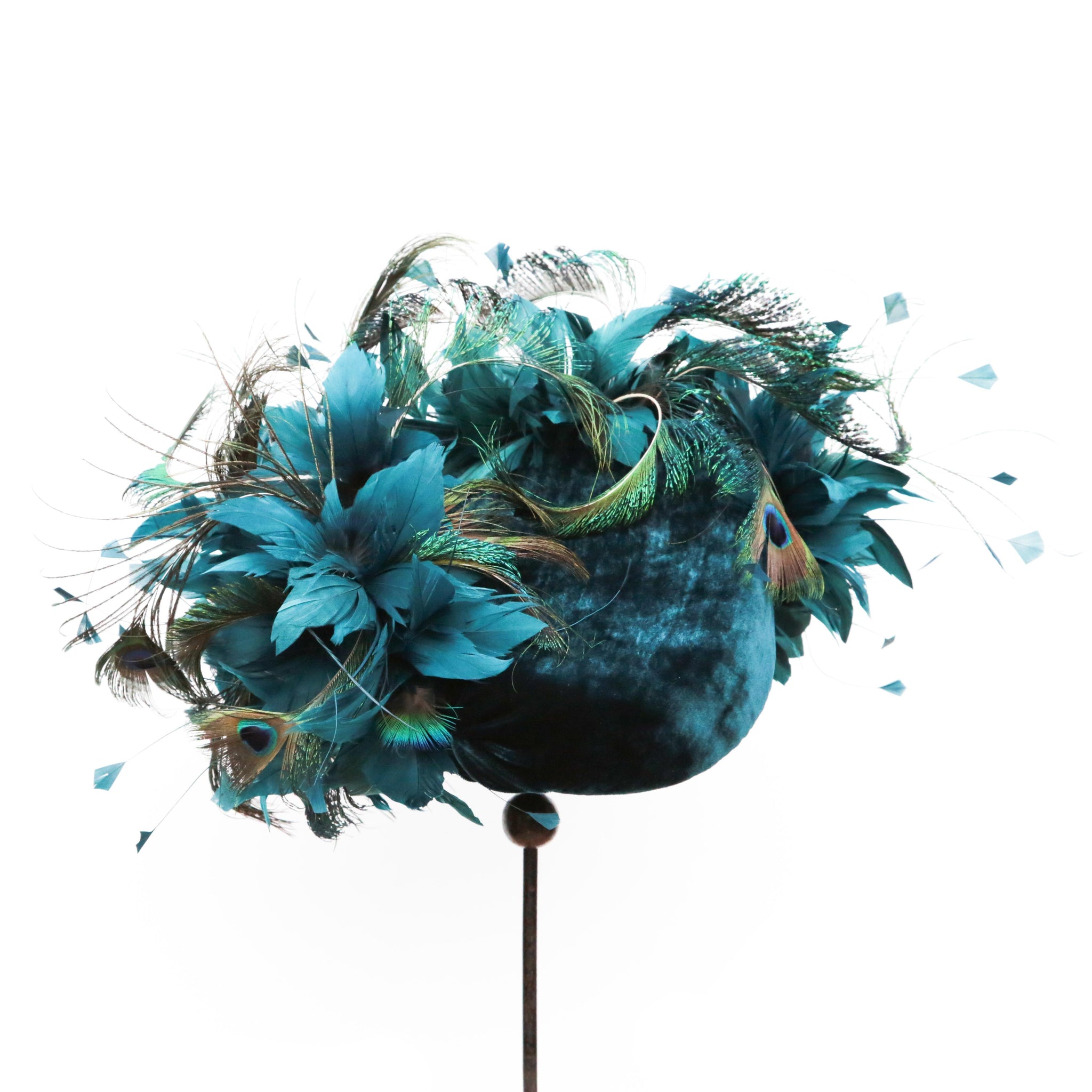 Teal Peacock On Point