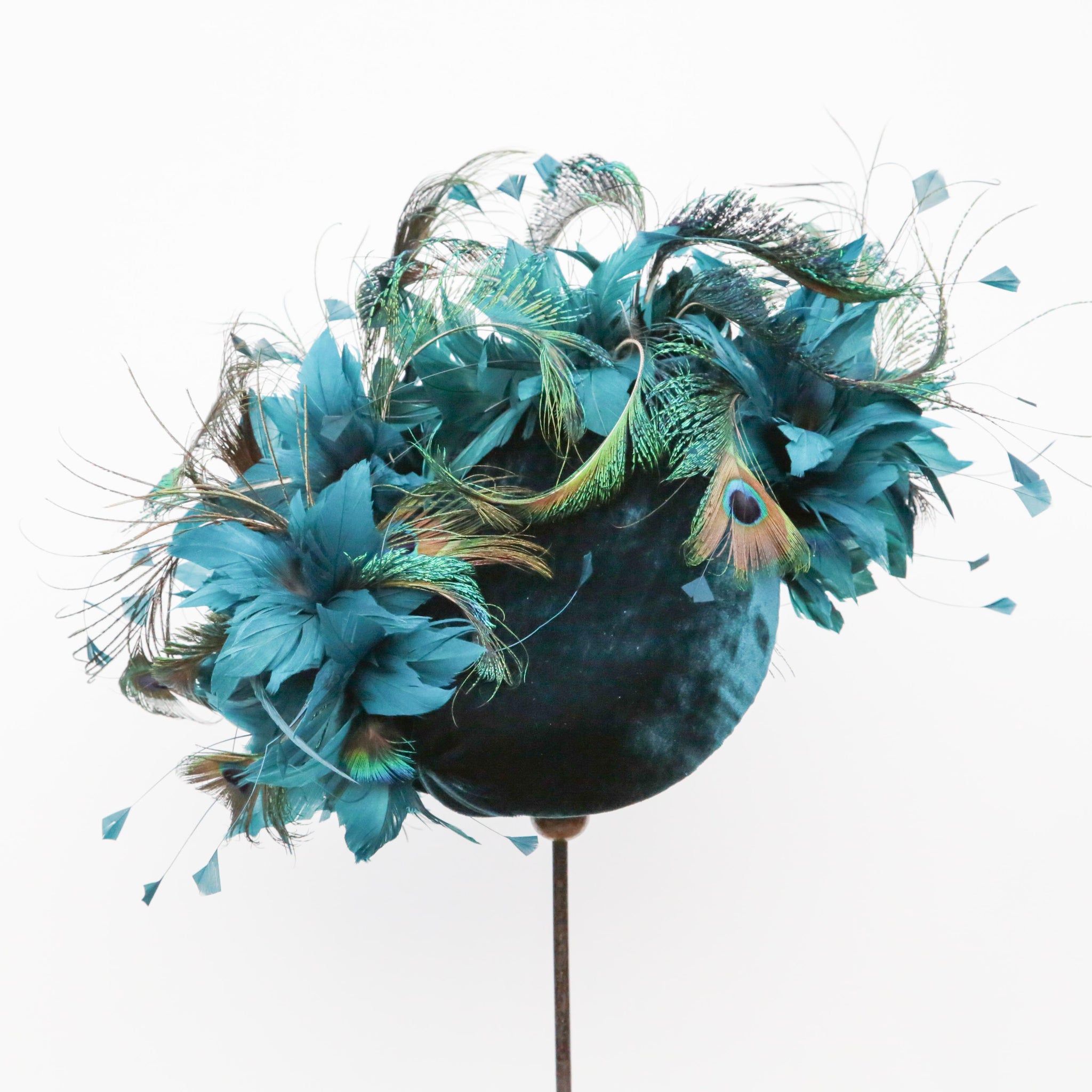 Teal Peacock On Point