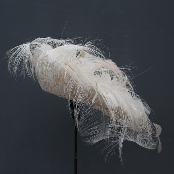 Vintage Lace Ostrich