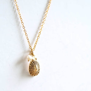Golden Shell