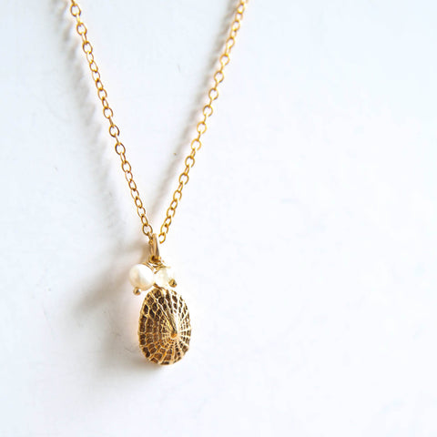 Golden Shell