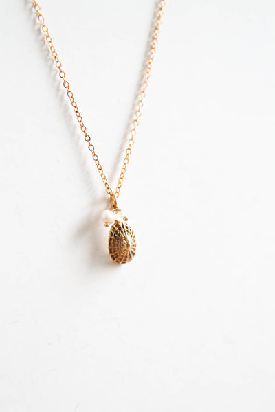 Golden Shell