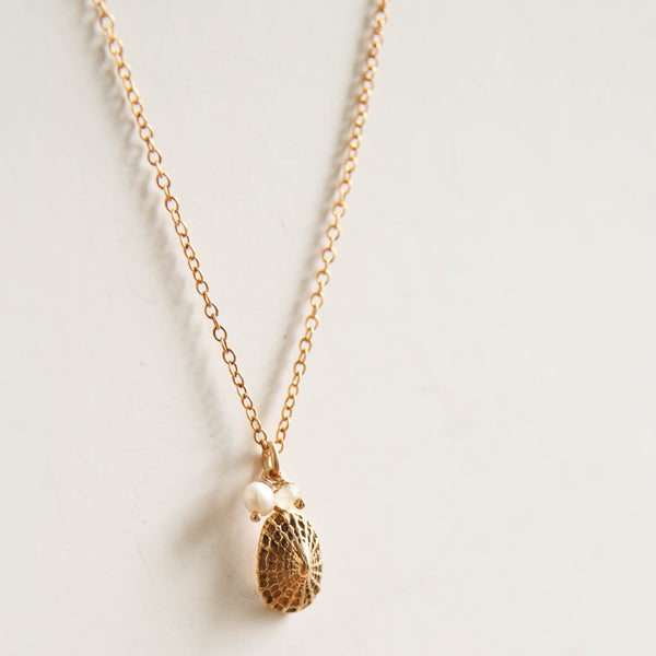Golden Shell
