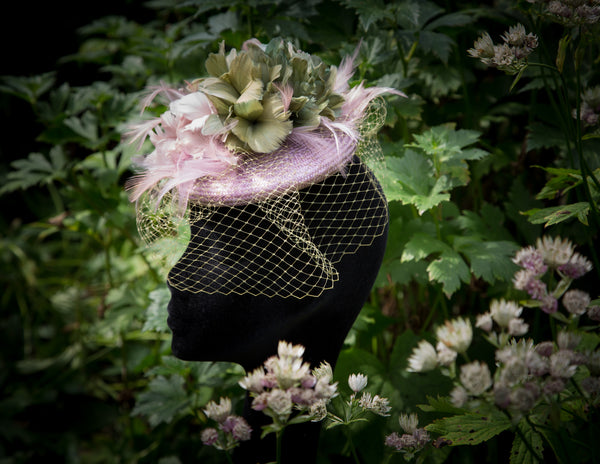 Astrantia ~ SOLD